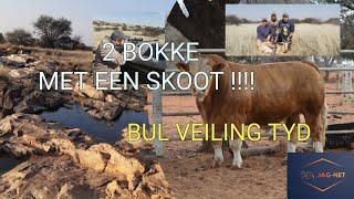 TWEE BOKKE MET EEN SKOOT JAG-NET EPISODE 4