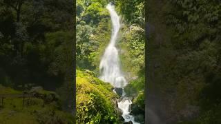 #nature #alamindonesia #curug #waterfall #beutifulnature #indonesia #wonderfulindonesia #shortsvideo