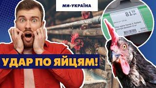  НАРЕШТІ Ціни на яйця впадуть. Експерти назвали терміни