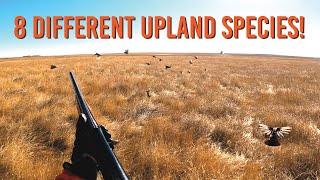 2022 Upland Hunting Highlight Reel