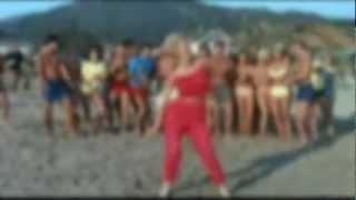 The Beach Boys - I Get Around The Captain Remix HD Video