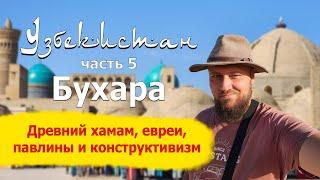 Бухара - древний хамам евреи павлины и конструктивизм. Узбекистан часть 5