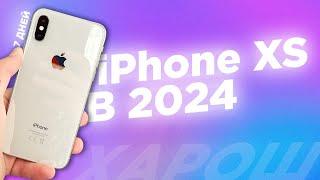 А ОН ХОРОШ iPhone XS в 2024 году