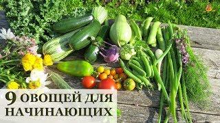 9 самых ПРОСТЫХ овощей для начинающих огородников
