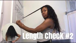 length check #2  waist length natural hair