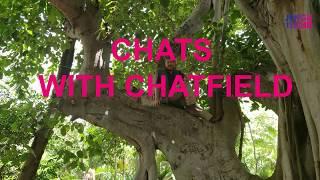 Chats with Chatfield  - Homeschool Recap