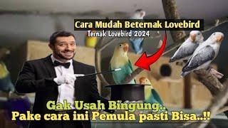 Langsung Bertelur‼️Cara Mudah Beternak Lovebird Bagi Pemula