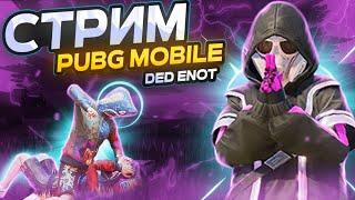 🫡  ПУБГ МОБАЙЛ  PUBG MOBILE STREAM