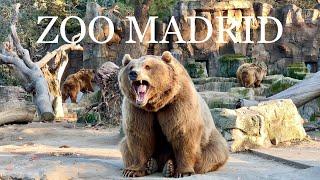 4K ZOO AQUARIUM MADRID