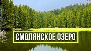 Как выглядит СМОЛЯНСКИЕ ОЗЕРА посреди леса Горы Родопи 2024 - Прогулка Пампорово Болгария