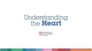 Understanding the Heart Tips for a Healthy Heart