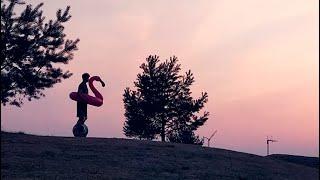 Flamingo Friendship