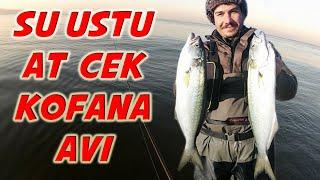 At çek Su Ustu Kofana Avı  Topwater Bluefish