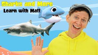 Sharks and More Sea Creatures  Learn with Matt  Dream English Kids