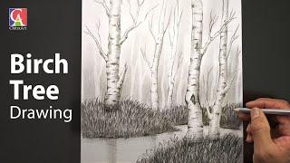 Birch Tree Landscape Drawing for Beginners with Pencil Shading