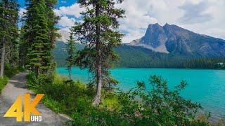 2 HRS Virtual Walk around Emerald Lake Yoho National Park - 4K Nature Walking Tour + Birds Chirping