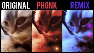 Chipi Chipi Chapa Chapa Original vs Remix vs Phonk #Cat #Phonk #chipichipi