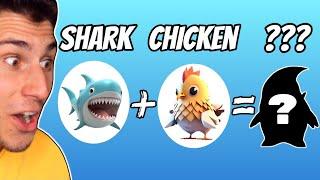 I Crossed a Shark with a Chicken  Animash