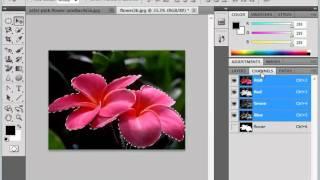 Photoshop CS5 Tutorial Saving & Loading Selections Adobe Training Lesson 7.12