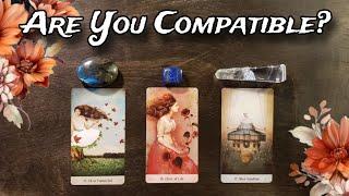 ‍️‍️ Are You Compatible?  Pick A Card Love Reading