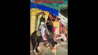Girl rearing Horse. Girl horse ride #horsegirl #ghoda #horse #horselover #horses #ghodi #camel