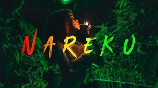 Nareku - Ragga Mix Reggae Raggastep Dub