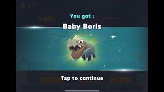 I GOT Baby Boris  BUT.....  Hungry Shark Evolution
