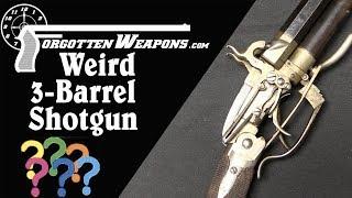 A Mystifying 3-Barrel Percussion Shotgun