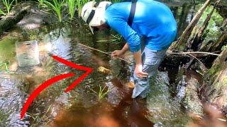 FLORIDA MAN Catches Catfish in a *BEER CAN*