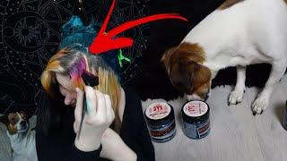 Mein HUND bestimmt meine HAARFARBEN - Es wird wieder BUNT D - Haare tönen