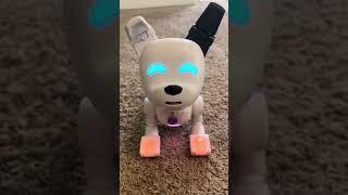 This Dog-E is in its #gamer era   #robotdog #shorts