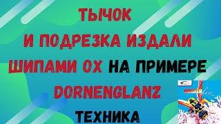 ШИПОВИКИ наступаютГладкошерстный БЕРЕГИСЬ ТЫЧОК и ПОДРЕЗКА ИЗДАЛИ шипами OX на примере dornenglanz