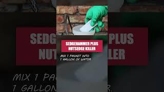 Get Rid of Nutsedges and Other Weeds with Sedgehammer Plus