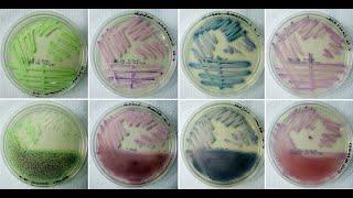 Contamination control Back to basics