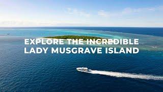 Discover LADY MUSGRAVE ISLAND  Things to do