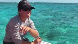 Women in Ocean Science for Marine #WorldHeritage Athline Clark Papahānaumokuākea USA