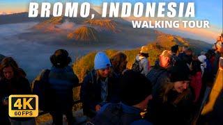 Virtual Jalan di Penanjakan Bromo Pasuruan Indonesia  Taman Tercantik di Dunia