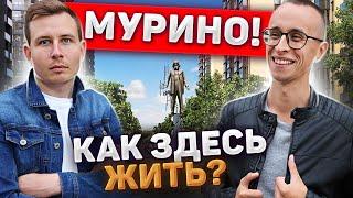 МУРИНО - самые дешевые квартиры у Метро  Вечные пробки в Девяткино