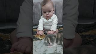 Baby seeing a kitten for the first time 