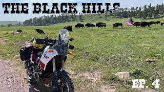 I Made it to the Black Hills
