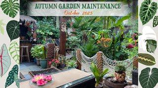 Autumn Maintenance & Garden Tour 