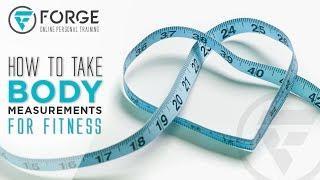 How To Take Body Measurements For Fitness   Forge Online Personal Training