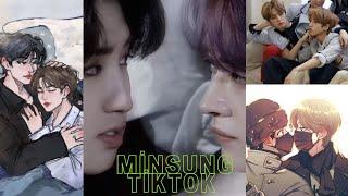 minsung tiktok pt6