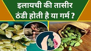 Elaichi ki Taseer  हरी इलायची की तासीर ठंडी है या गर्मइलायची के फायदेCardamom Benefits & Demerits