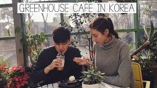  Unique GREENHOUSE CAFE in Korea & Cat Fair 자막궁디팡팡마켓 & 온실하우스 카페 국제커플의 브이로그