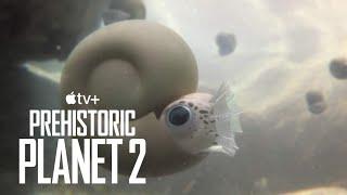 Baby Ammonites escaping from rock pools - Prehistoric Planet season 2