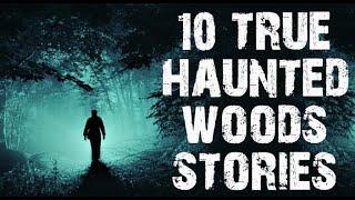 10 TRUE Terrifying Haunted Woods Scary Stories  Horror Stories To Fall Asleep To