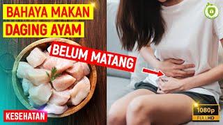 BAHAYA MAKAN DAGING AYAM SETENGAH MATANG - Info Sehat