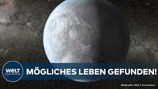 NASA Wissenschaftler entdecken erste Anzeichen für Leben auf Planeten K2-18b  WELT Gute Nachricht