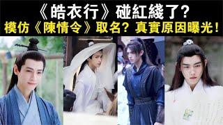 《皓衣行》碰红线了？模仿《陈情令》取名？真实原因曝光！